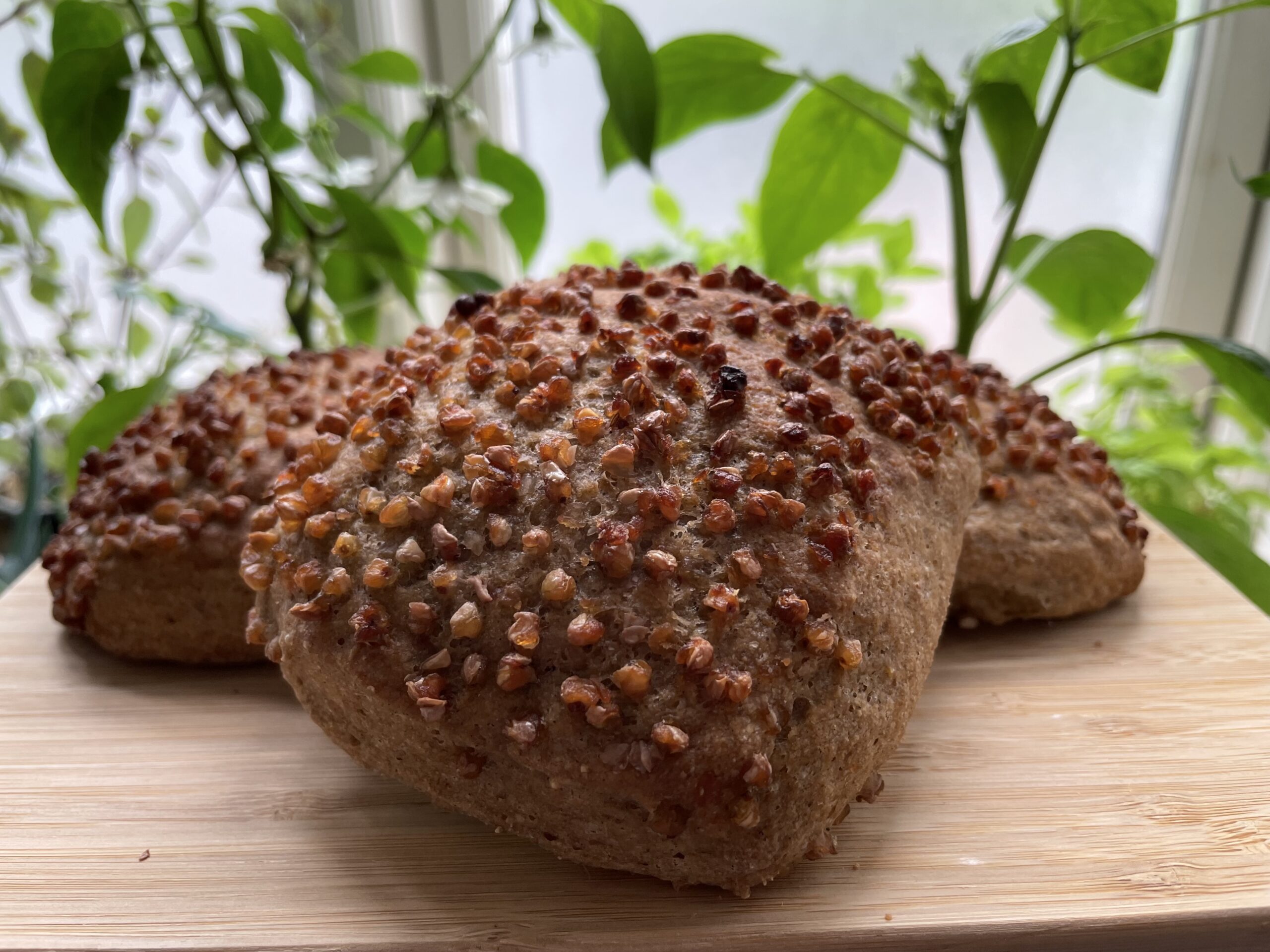 Sprøde glutenfrie boller med boghvede